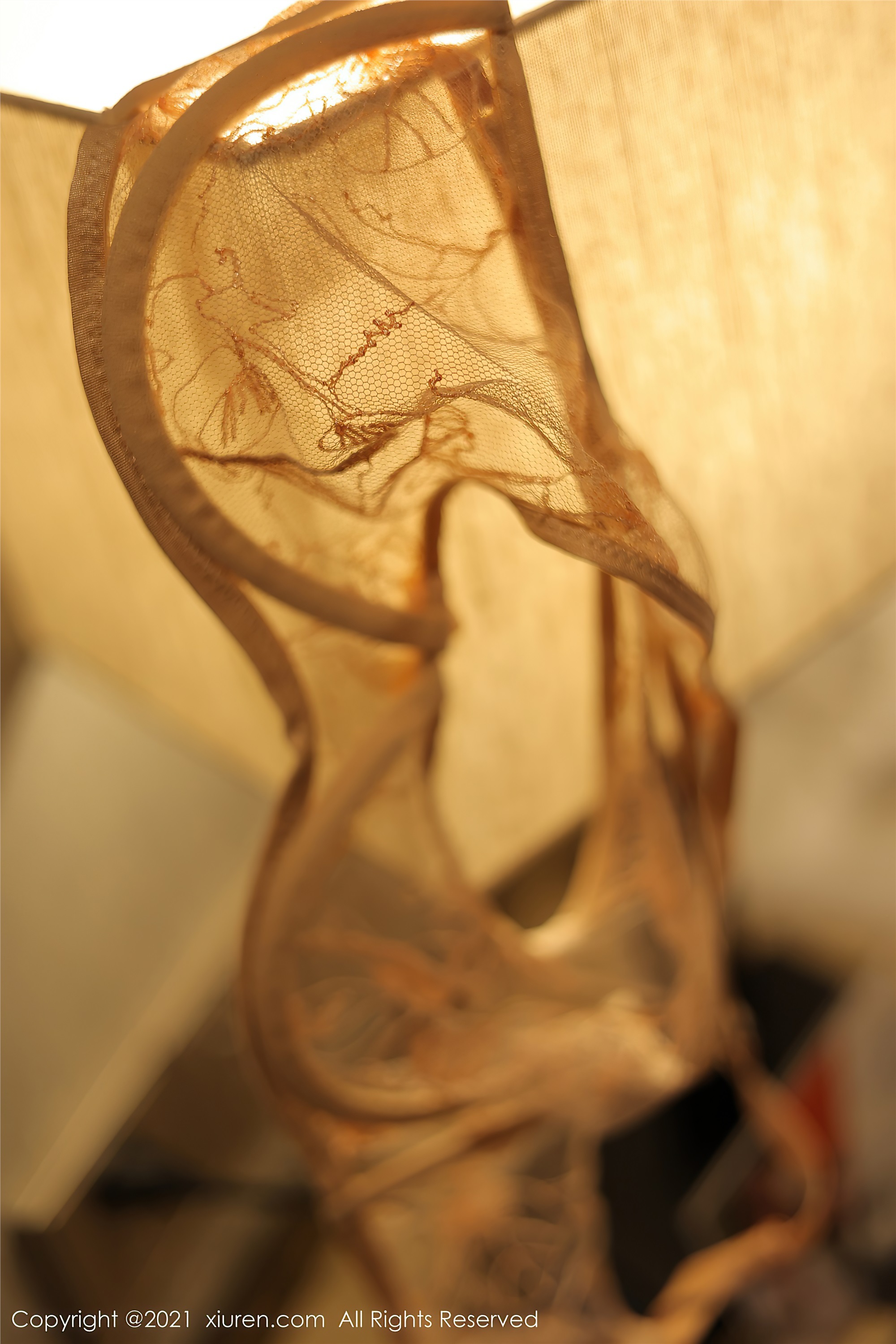 XIUREN秀人网  2021.06.25 No.3587 朱可儿Flower